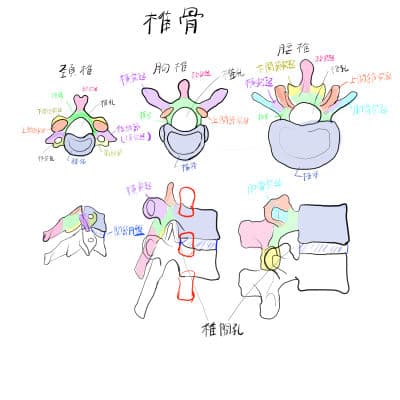 後鳥羽上皇と仙川のパスタ専門店でビザンティン美術の話をしてて、イコノクラスムからの流れでミカエル3世の話になったんだけど、「えw2歳で即位ww意味が分からんw4歳くらいなら分かるけどw」って言われたんだけど、2歳も4歳もそう変わらなくない？