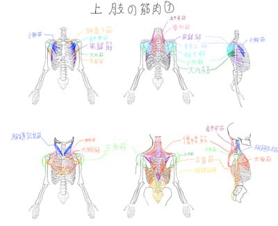 サイゼリヤで劇場版アンパンマンの話ししてたら後鳥羽上皇が「パン食推進派のプロパガンダ映画なんか観るなよww」と言ってきて、生ゆば君がおむすびマンやどんぶりトリオやアンパンマンふりかけの存在を根拠に反論してたんだけど、そもそもミートソースボロニア風食べながら言われてもな、っていう。