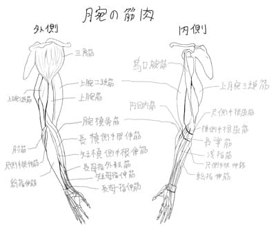 インド思想ではドリンクバーの回し飲みは「輪廻（サンサーラ saṃsāra）」と呼ばれる。仏教では輪廻は苦とされ、回し飲みの環からの解脱が目的とされる。