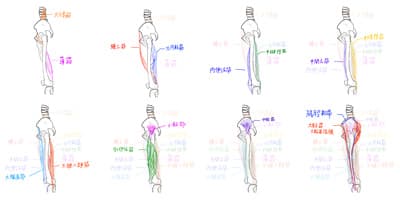 後鳥羽上皇が鑑真に会ったことがあるというのだが、時代が全く被ってないし流石に無いと言ったら「あいつがインドから持ってきたカレーの店のフランチャイズを日本で展開するのを手伝った記憶があるから間違いない」と。多分、玄奘とかその辺と間違えてると思う。