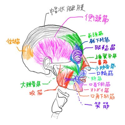 キャプテンDAZAIが週刊些事のインタビューに答え「とにかくキャプテンになってみたかった。太宰治に特にこだわりはなかった。」などと述べた件で、西東京ダザイクラブがキャプテンDAZAIコスチュームを廃棄するなど波紋が広がっている。西東京ダザイクラブのある若い幹部は、同誌のインタビューに答えて「今年は思い切って色々捨てた。なかなか気温が下がらず衣替えが遅れた。」などと述べたという。