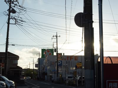 後鳥羽上皇にカルロス・ゴーンの水煮の処理水の問題への懸念を伝えたら「ゴルフボールを靴下に詰めて楽器ケースに叩きつけたら濃度が下がるから海洋放出しても問題ない」と教えてくれた。流石に有職故実に通じた人は違うと感心したものだが、ゴルフを愛する人たちへの冒とくにならないかが心配である。