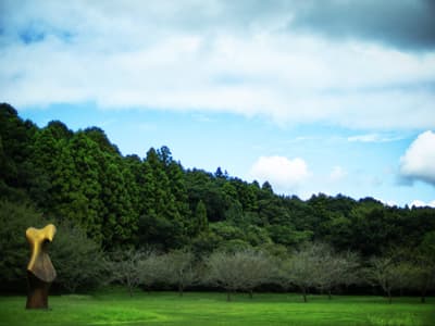 後鳥羽上皇に京都に帰るのは諦めて東京に移住しては？と提案したら「都と言っても歴史が浅すぎてなあ。そのへんのカフェの電源とかでも、もしかしたら柿本人麻呂がスマホを充電したかも…みたいなロマンがないのはショボい。」などと言うのだが、流石に京都でも7世紀のコンセントは残ってないと思う。